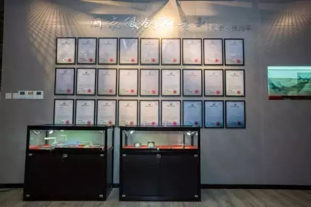 1513822459653523.jpg 8.jpg