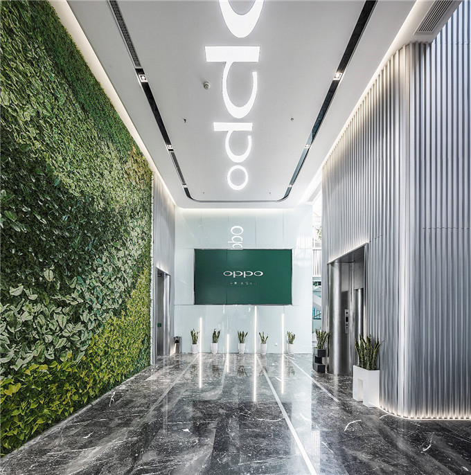 1516696705465302.jpg 6.jpg