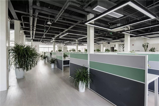 1516696710199194.jpg 8.jpg