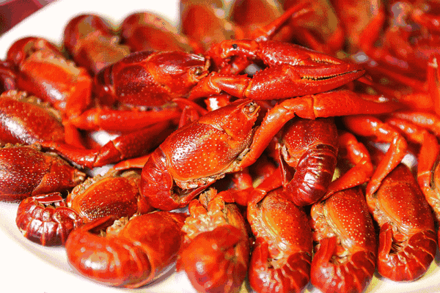 1524546515273596.gif 21.gif