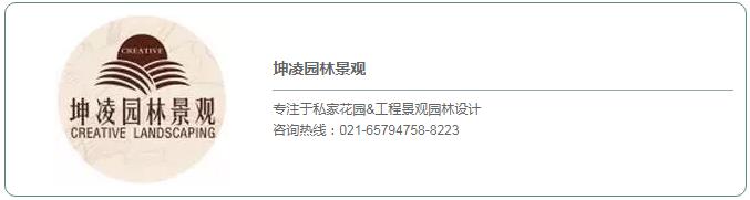 1524880322133463.jpg 17.jpg