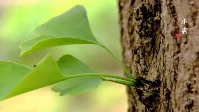 1526868272122063.jpg 2.jpg