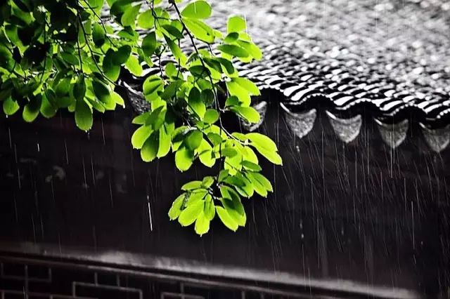 1526868287709766.jpg 4.jpg