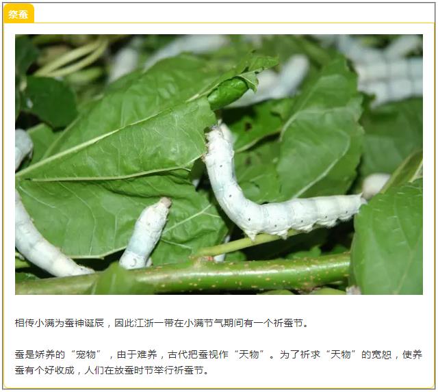 1526868315109795.jpg 8.jpg