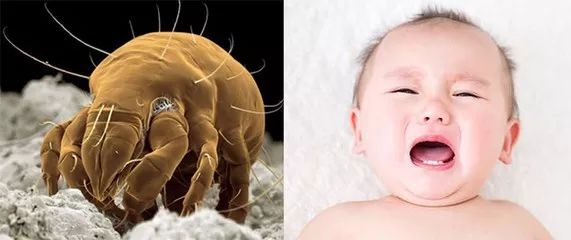 1529635651630329.jpg 3.jpg