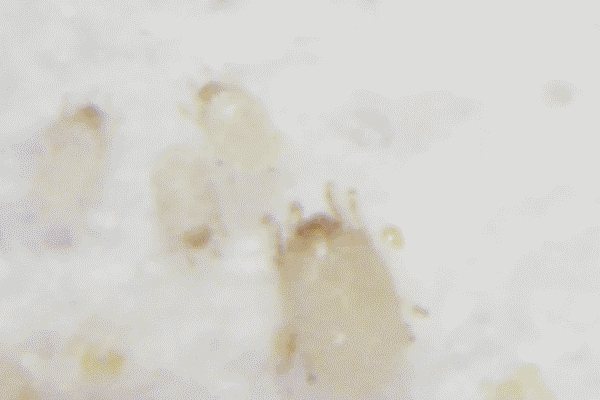 1529635661500029.gif 4.gif