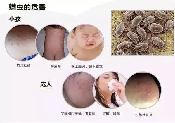 1529635687672672.jpg 6.jpg