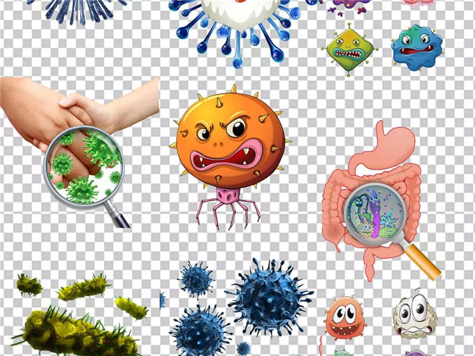 1529635689266366.jpg 7.jpg