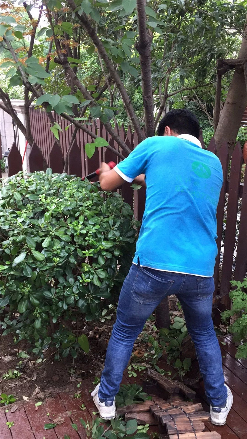 1530348411134211.jpg 4.jpg