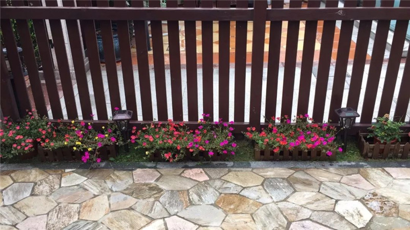 1530348416102772.jpg 6.jpg